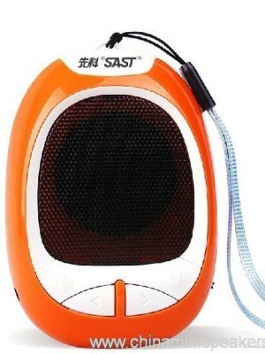Mini Insert card Outdoor speaker with FM Radio - Image 3