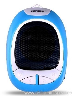Mini Insert card Outdoor speaker with FM Radio - Image 4