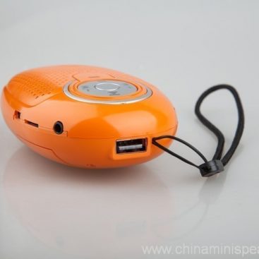 Mini Fashion insert card USB Speaker 5