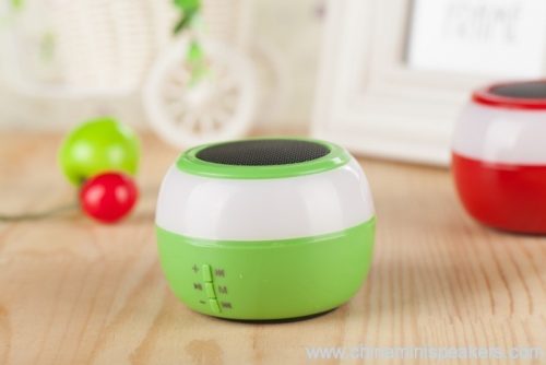 TF Card Support, USB Flash Support, FM Radio Mini Speakers