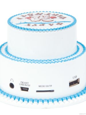 Cake cake dhalashadiisa sameecad sameeye yar oo leh raadiyaha FM-ga ah USB / PC - Sawirka 10