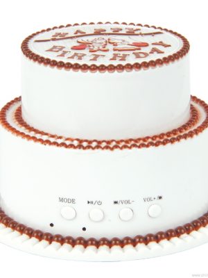 Cake cake dhalashadiisa sameecad sameeye yar oo leh raadiyaha FM-ga ah USB / PC - Sawirka 12