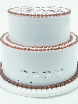 Cake cake dhalashadiisa sameecad sameeye yar oo leh raadiyaha FM-ga ah USB / PC - Sawirka 3