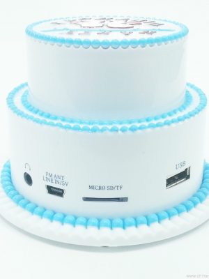 Cake cake dhalashadiisa sameecad sameeye yar oo leh raadiyaha FM-ga ah USB / PC - Sawirka 5