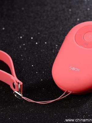 Wireless bluetooth speaker mini portable bluetooth speaker with Selfie - Image 7