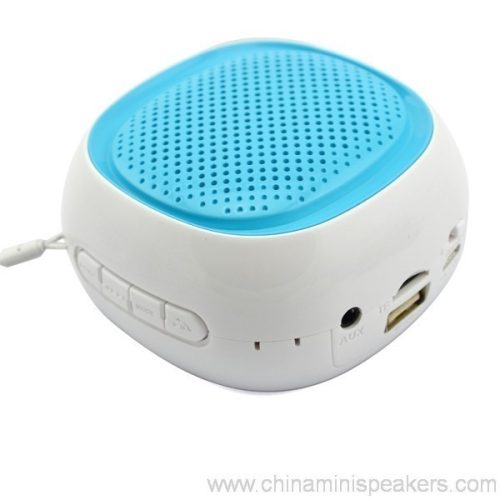 Portable Bluetooth Mini Speaker with USB TF Card