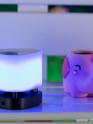 ຄຸນນະພາບສູງສຽງນໍາລໍາໂພງ bluetooth - ຮູບພາບ 3