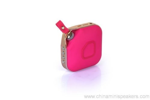 Wireless Portable Music Mini Bluetooth Speaker with FM Radio