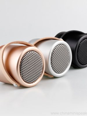 Visoke kakovosti HIFI Bluetooth zvočnik z ročajem - Image 4