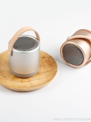 Visoke kakovosti HIFI Bluetooth zvočnik z ročajem - Image 5
