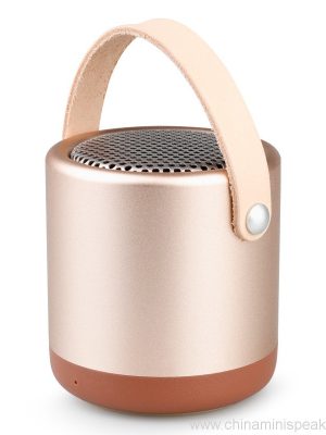 Visoke kakovosti HIFI Bluetooth zvočnik z ročajem - Image 8
