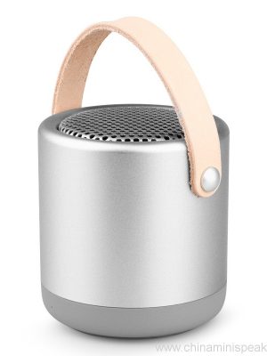 Visoke kakovosti HIFI Bluetooth zvočnik z ročajem - Image 10