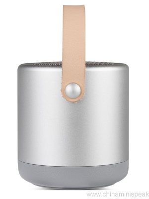 Visoke kakovosti HIFI Bluetooth zvočnik z ročajem - Image 11