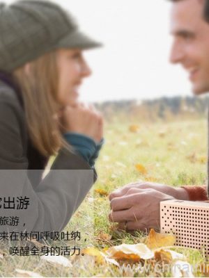 Metal Bluetooth Speaker Nirkabel Stereo Pocket Audio Dhukungan Handsfree TF Card AUX-in speaker - Image 13