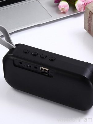 Ezintsha eziphathekayo Uhlobo enemingxuma ngelaphu yangaphandle Bluetooth Somlomo - Umfanekiso 8