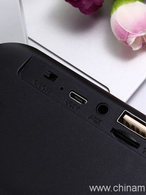 Ezintsha eziphathekayo Uhlobo enemingxuma ngelaphu yangaphandle Bluetooth Somlomo - Umfanekiso 15